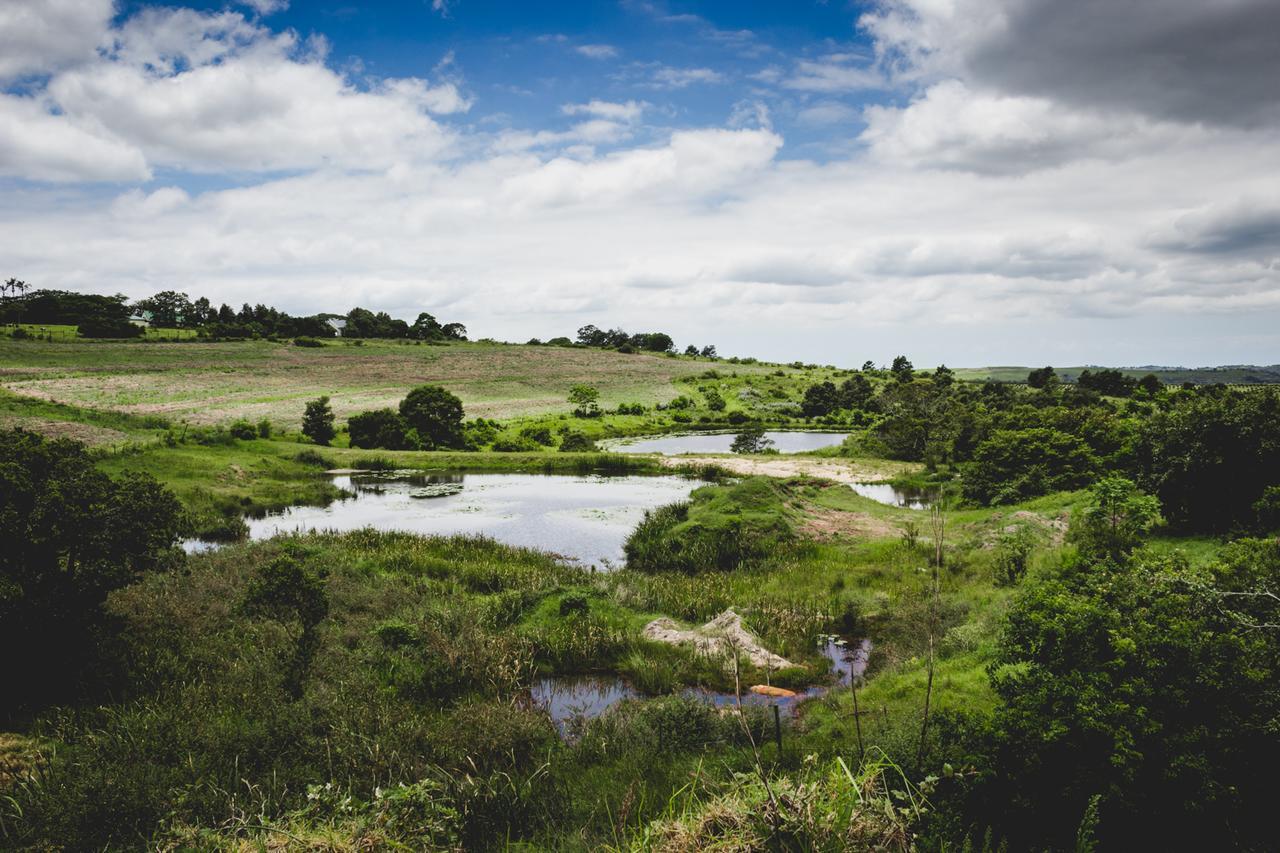 Oribi Gorge Guest Farm Hotel Glendale Bagian luar foto